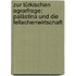 Zur türkischen Agrarfrage; Palästina und die Fellachenwirtschaft