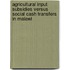 Agricultural Input Subsidies versus Social Cash Transfers in Malawi