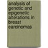 Analysis of Genetic and Epigenetic Alterations in Breast Carcinomas