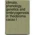 Climate, Phenology, Genetics and Embryogenesis in Theobroma Cacao L
