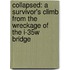 Collapsed: A Survivor's Climb from the Wreckage of the I-35W Bridge