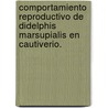 Comportamiento Reproductivo de Didelphis marsupialis en Cautiverio. door Angela V. Gámez-Bernal