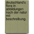 Deutschland's Flora in Abbildungen nach der Natur mit Beschreibung.
