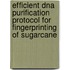 Efficient Dna Purification Protocol For Fingerprinting Of Sugarcane