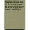 Fluctuaciones del Ciclo Econ Mico, Ra Ces Unitarias y Memoria Larga door Jos Luis Iparraguirre D'Elia