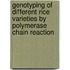 Genotyping of Different Rice Varieties by polymerase chain reaction