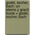 Godel, Escher, Bach: Un Eterno Y Gracil Bucle = Godel, Escher, Bach