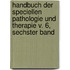 Handbuch Der Speciellen Pathologie Und Therapie V. 6, Sechster Band