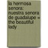 La Hermosa Senora: Nuestra Senora de Guadalupe = The Beautiful Lady