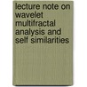 Lecture Note On Wavelet Multifractal Analysis And Self Similarities door Jamil Aouidi