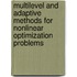 Multilevel And Adaptive Methods For Nonlinear Optimization Problems