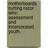 Motherboards Cutting Razor Wire: Assessment and Incarcerated Youth.