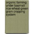 Organic farming under Basmati rice-wheat-green gram cropping system