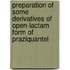 Preparation Of Some Derivatives Of Open-lactam Form Of Praziquantel