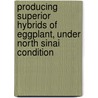 Producing Superior Hybrids of Eggplant, under North Sinai Condition door Ahmed El-Mansy