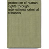 Protection of Human Rights Through International Criminal Tribunals door Seleman Gilla