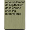 Renouvellement de l'épithélium de la cornée chez les mammifères by François Majo