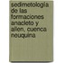 Sedimetología de las Formaciones Anacleto y Allen, Cuenca Neuquina