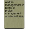 Wildfire Management in Terms of Project Management of Sentinel Asia by Kazuya Kaku