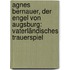 Agnes Bernauer, Der Engel Von Augsburg: Vaterländisches Trauerspiel
