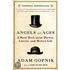 Angels And Ages: A Short Book About Darwin, Lincoln, And Modern Life
