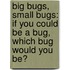 Big Bugs, Small Bugs: If You Could Be a Bug, Which Bug Would You Be?