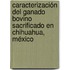 Caracterización del ganado bovino sacrificado en Chihuahua, México