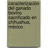 Caracterización del ganado bovino sacrificado en Chihuahua, México by Juan Carlos Cort S-Garc a