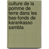 Culture de la pomme de terre dans les bas-Fonds de Karankasso Sambla door Hubert Badiel