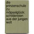 Die Prinzenschule zu Möpselglück: Schildereien aus der jungen Welt