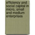 Efficiency and Social Capital in Micro, Small and Medium Enterprises
