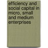 Efficiency and Social Capital in Micro, Small and Medium Enterprises door Eshetu Worku