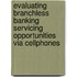 Evaluating Branchless Banking Servicing Opportunities via Cellphones