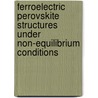 Ferroelectric Perovskite Structures under Non-equilibrium Conditions door Qingteng Zhang