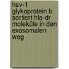 Hsv-1 Glykoprotein B Sortiert Hla-dr Moleküle In Den Exosomalen Weg door Sebastian Temme