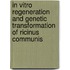 In Vitro Regeneration and Genetic Transformation of Ricinus Communis
