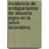 Incidencia de Endoparásitos de Alouatta pigra en la Selva Lacandona