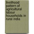 Livelihood pattern of Agricultural Labour Households in  Rural India