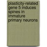 Plasticity-related gene 5 induces spines in immature primary neurons by Pierluca Coiro
