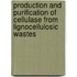 Production and Purification of Cellulase from Lignocellulosic Wastes
