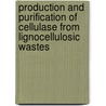 Production and Purification of Cellulase from Lignocellulosic Wastes by Awanish Kumar