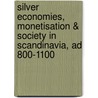 Silver Economies, Monetisation & Society In Scandinavia, Ad 800-1100 door Gareth Williams