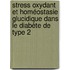 Stress Oxydant et Homéostasie Glucidique dans le Diabète de Type 2