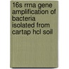 16s Rrna Gene Amplification Of Bacteria Isolated From Cartap Hcl Soil door Anum Zahra
