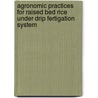 Agronomic Practices For Raised Bed Rice Under Drip Fertigation System by R. Govindan