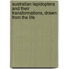 Australian Lepidoptera And Their Transformations, Drawn From The Life by Alexander Walker Scott