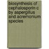Biosynthesis of cephalosporin C by Aspergillus and Acremonium species