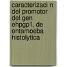 Caracterizaci N del Promotor del Gen Ehpgp1, de Entamoeba Histolytica door Mar A. Esther Ram Rez Moreno