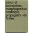 Coeur et Connexines. Morphogenèse cardiaque, propagation de l'influx