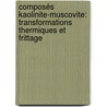 Composés kaolinite-muscovite: transformations thermiques et frittage door Gisele Laure Lecomte